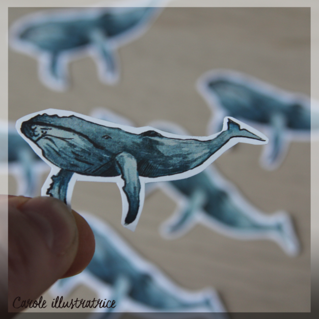 Autocollants -Baleine bosse